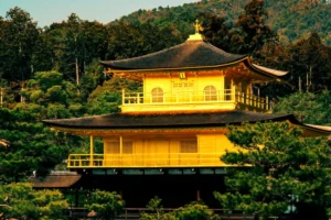 The brilliant gold-leaf exterior of Kinkaku-ji, the Golden Pavilion Zen temple in Kyoto, shining against a backdrop of lush pine trees and forested hills.