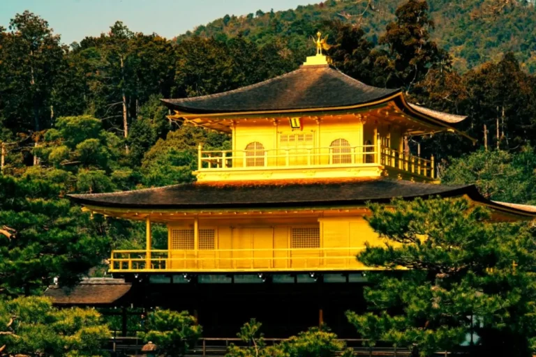 The brilliant gold-leaf exterior of Kinkaku-ji, the Golden Pavilion Zen temple in Kyoto, shining against a backdrop of lush pine trees and forested hills.